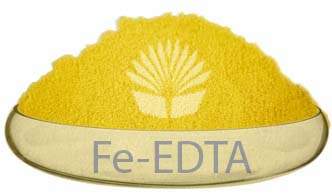EDTA Fe 13% - Ấn Độ