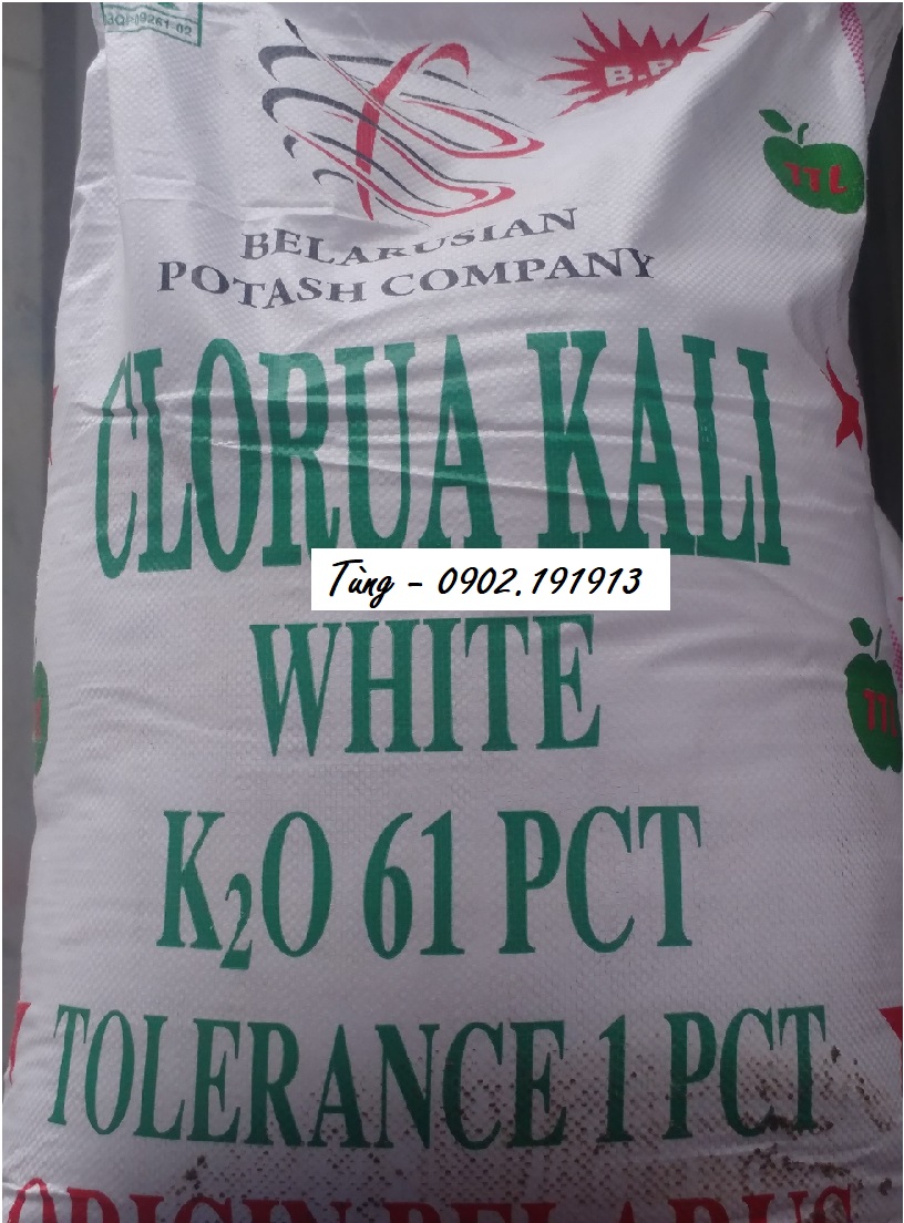 KCl Kali Clorua - K2O 61% - Belarus - Lào - Đài Loan